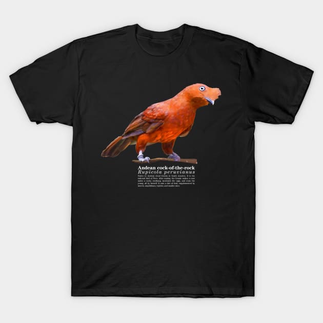 Andean cock-of-the-rock tropical bird white text T-Shirt by Ornamentum